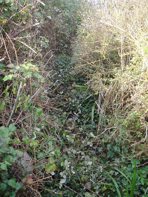 sentier Tombelaine.JPG