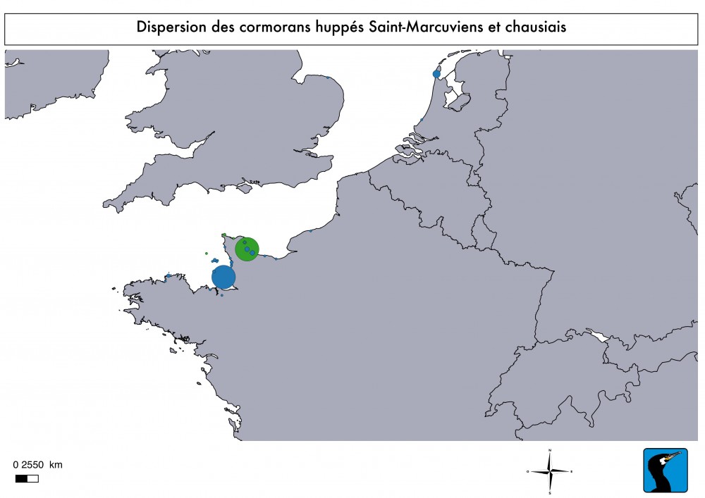 Dispersion des cormorans huppés de Chausey et Saint-Marcouf  en fonction de leur origine