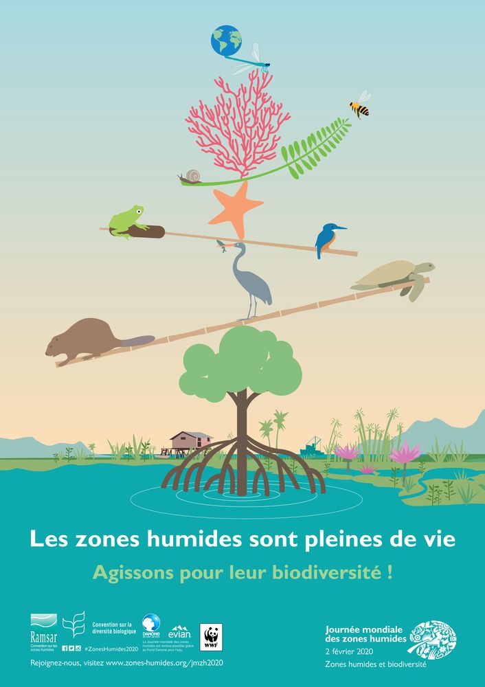 Affiche nationale de la journée mondiale des zones humides 2020