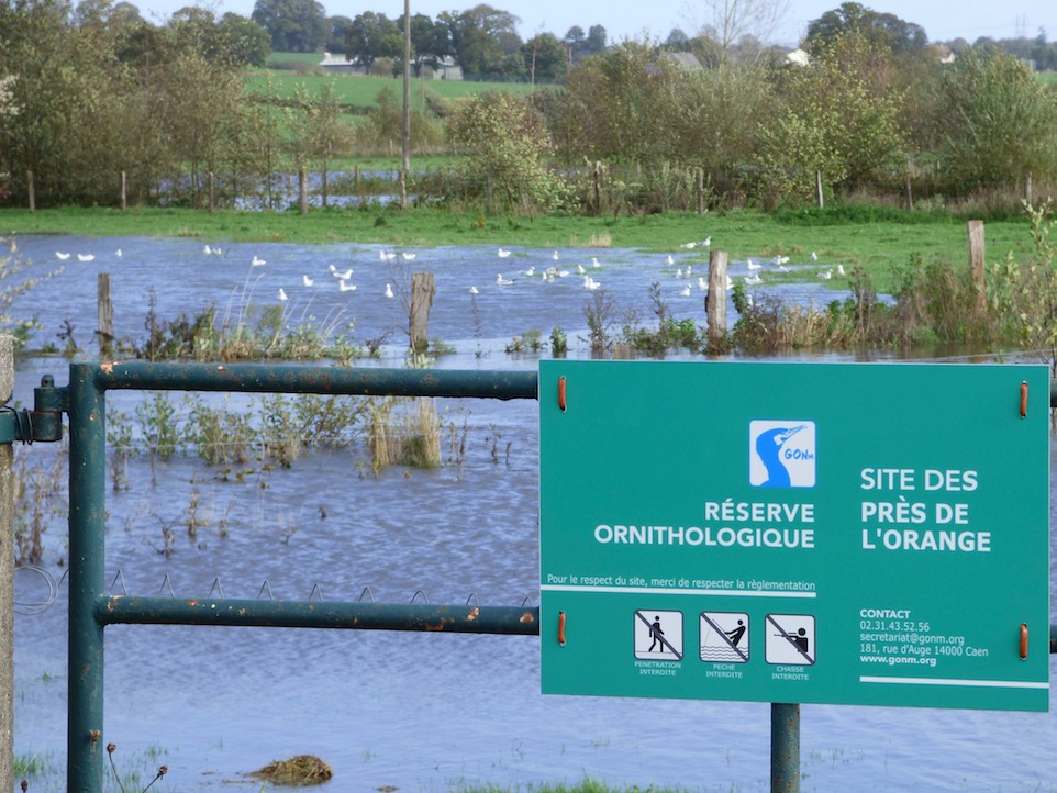 Une belle pancarte pour une belle inondation.