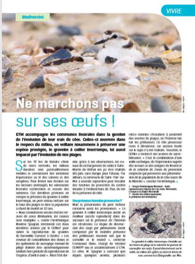 Page 5 illisible de Terre et Mer Le Mag 2020