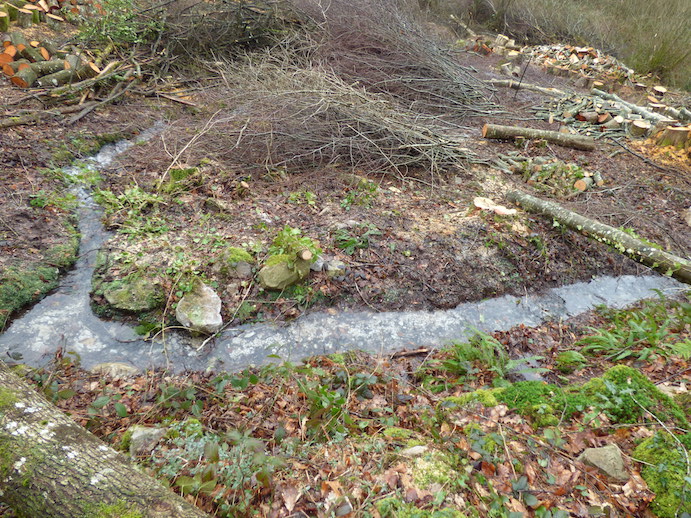 Le lit des ruisseaux est clair : le grès est là; les écrevisses trouvent refuge sous les pierres des rives d'un ruisseau en lisière de forêt. Celui de la photo n'est qu'un &quot;affluent&quot; de ce ruisseau.