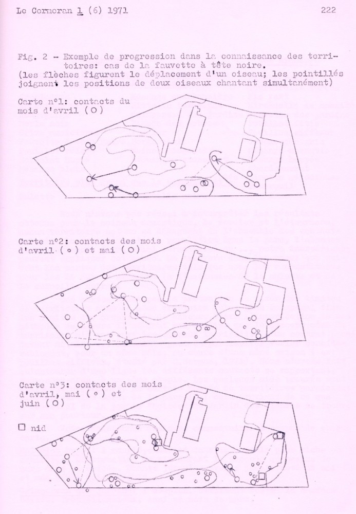 carto FTN.jpeg (222.62 Kio) Vu 14046 fois Délimitation progressive des territoires de la fauvette à tête noire sur le quadrat du jardin des plantes (page 222)