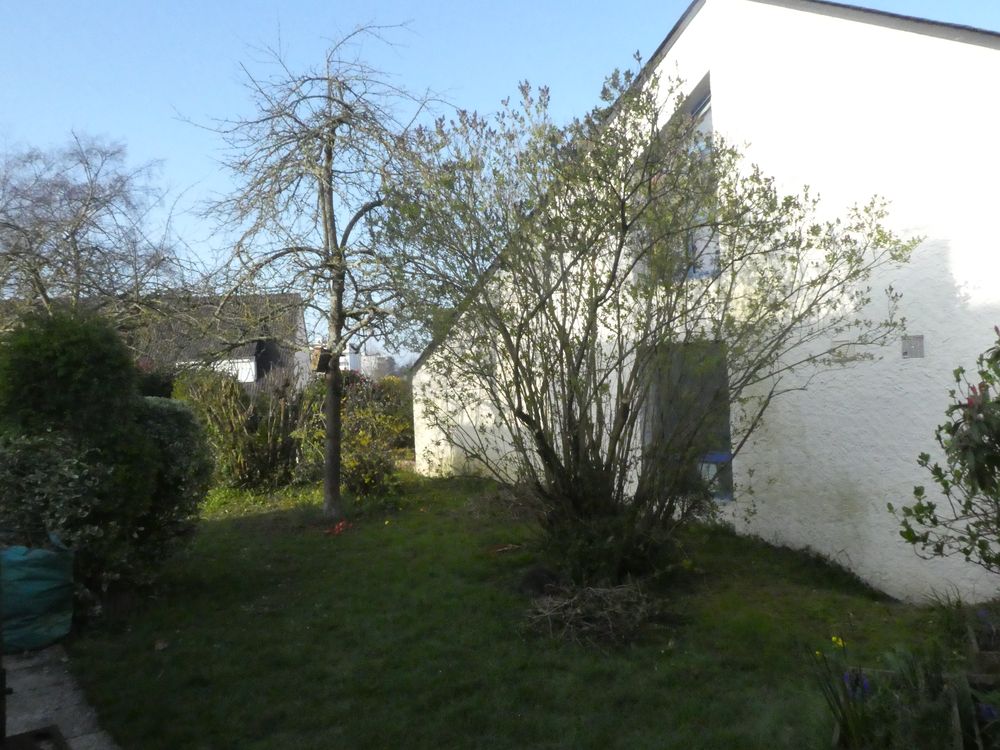 Jardin avec pommiers, lilas, berberis, troêne,  nichoirs et  chat. Le champ d'observation, réduit, est limité par les maisons voisines.