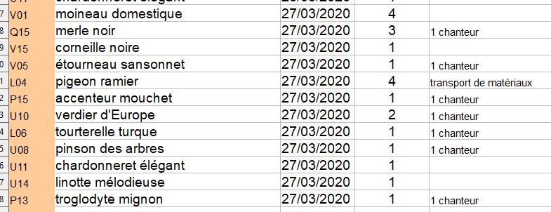 Relevé d'espèces à 9h  du 27_03_2020