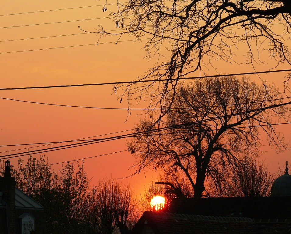 L'heure exacte de la prise de vue est 7h32. Tout le monde avait remarqué l'erreur, due au réglage en heure d'hiver de l'appareil photographique.