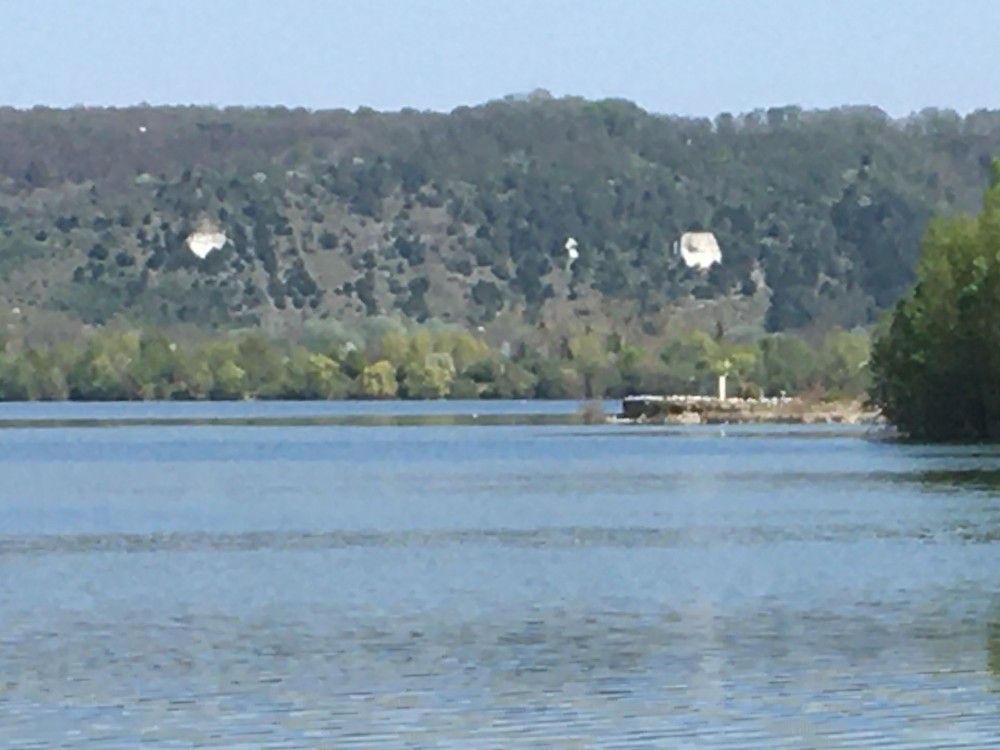 nouvelle colonie de mouettes mélanocéphales au niveau du lac des 2 amants