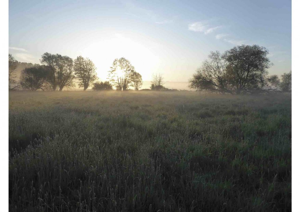 Prairie à Gilbert