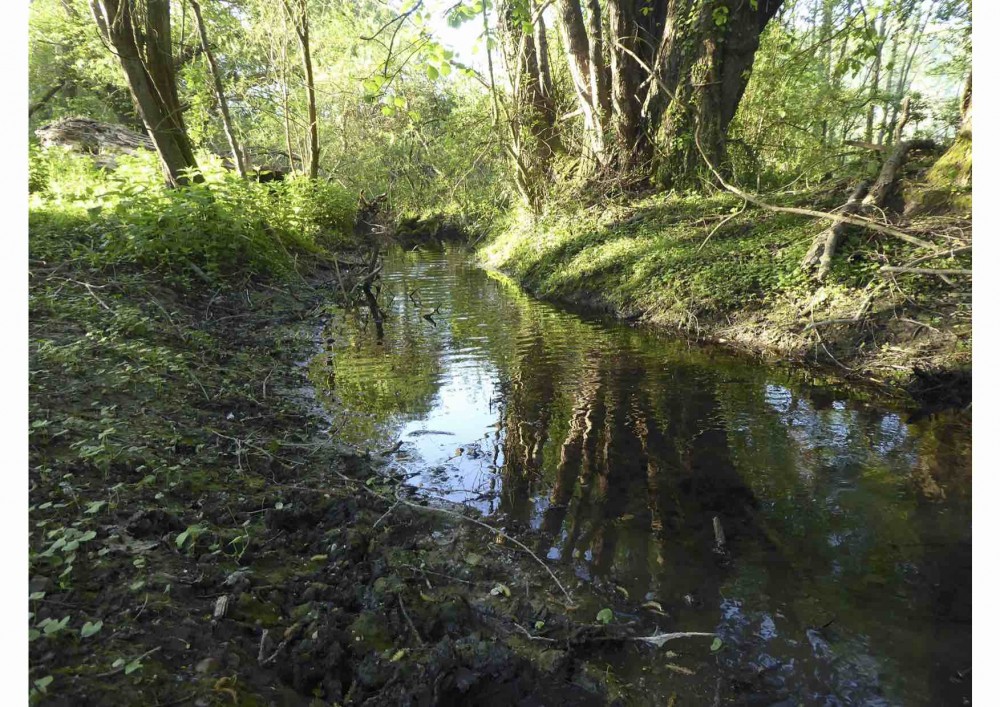 Ruisseau des Échaudés