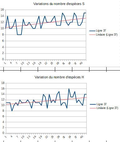 Variation quotidienne du nombre d'espèces. Courbe de tendance en rouge.