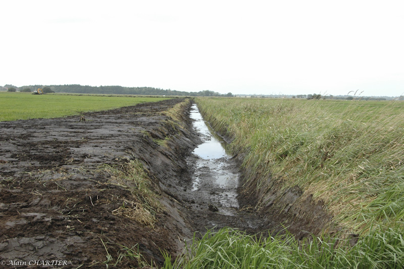 curage des fossés