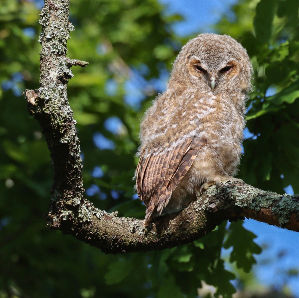 4.jpg (326.14 Kio) Vu 8622 fois En fin d'après-midi