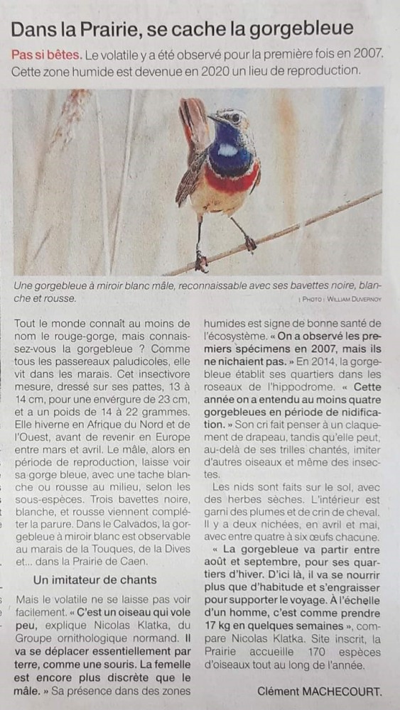 Ouest-France Caen_août_2020