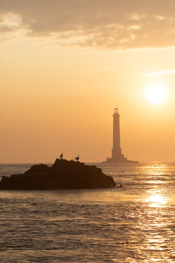 Coucher de soleil sur le phare avec cormorans