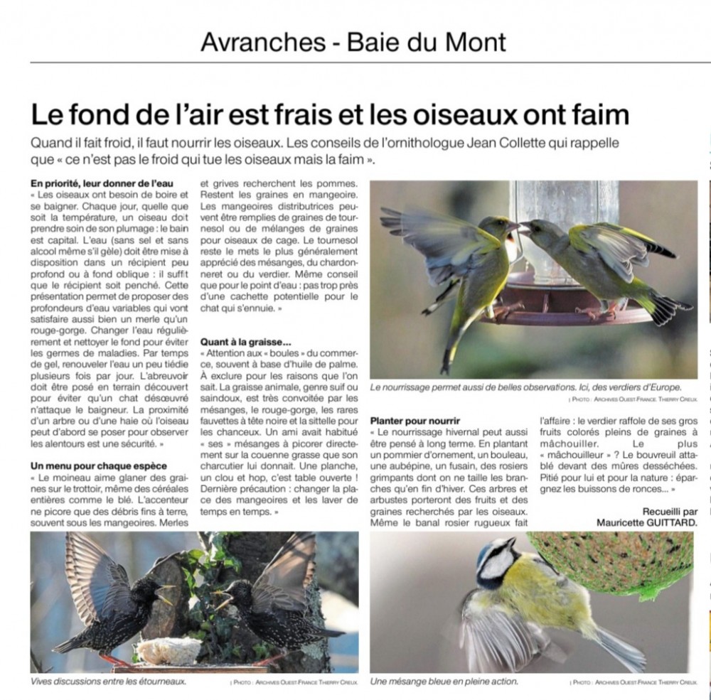 nourrirAvranchesOF07_12_2020.jpg (320.4 Kio) Vu 6566 fois Ouest-France_07_12_2020