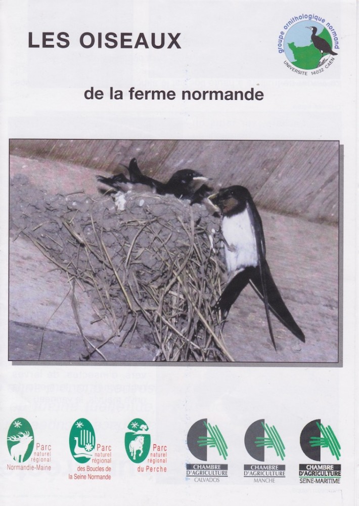 plaquette 1 recto.jpeg (192.97 Kio) Vu 9650 fois Plaquette "Les oiseaux de la ferme normande" (recto)<br />L'hirondelle rustique est choisie comme "médiateur" entre les ornithologues et les agriculteurs. La photo est de Michel Saussey, spécialisé dans le baguage de cette espèce dans les étables du Bessin.