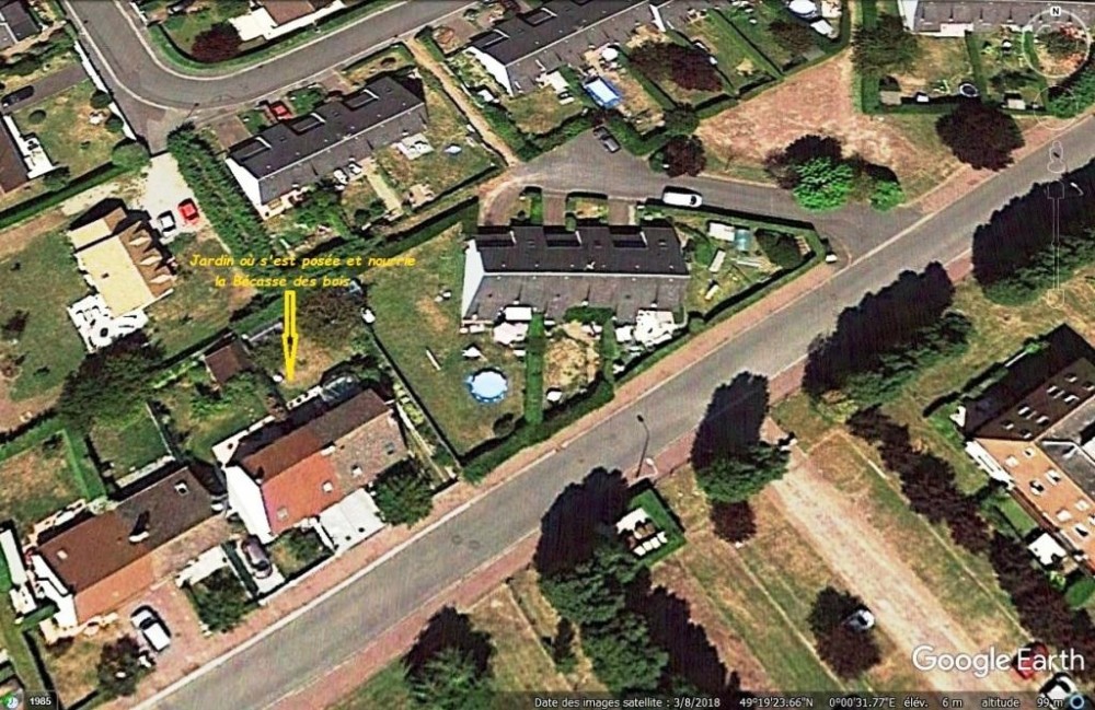 Le contexte environnemental = parmi les nombreux lotissements de Villers-sur-Mer (capture d'écran 'Google Earth' par Foxy).jpg