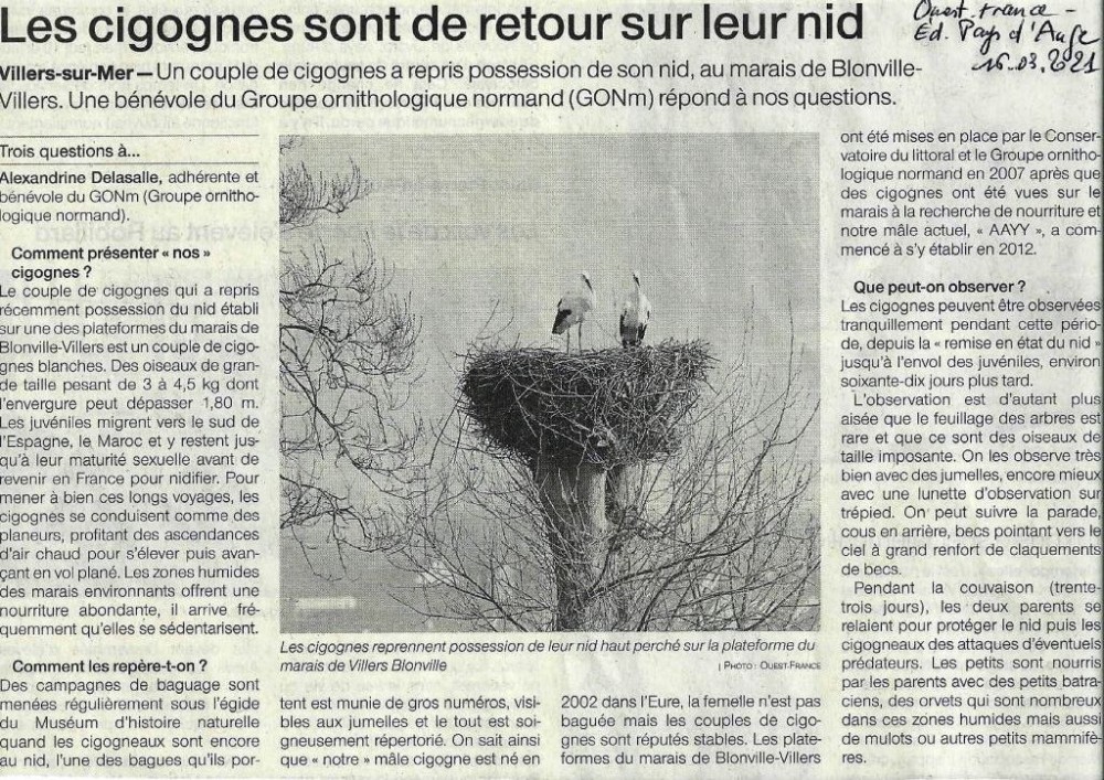 cigogneOFpaysdAuge16_03_2021.jpg (301.41 Kio) Vu 6146 fois Ouest-France_16_03_2021