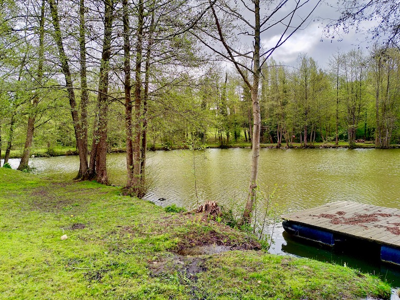 L'étang de Blangy: chevalier guignette au passage, bergeronnette des ruisseaux.