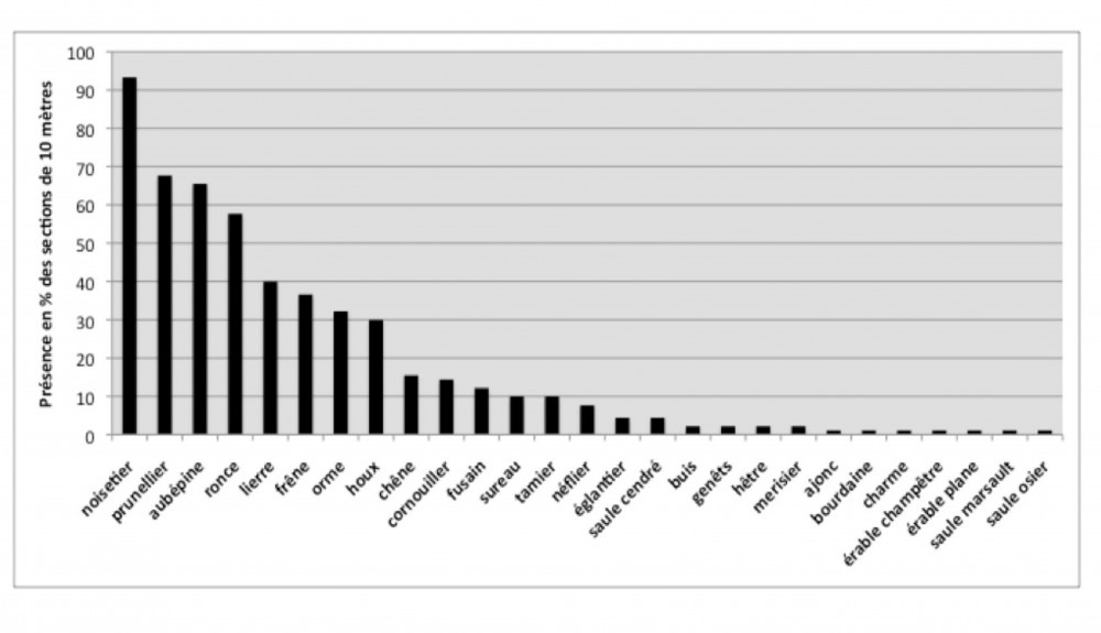 Synthèse : présence des essences exprimée en % du nombre de tronçons de 10 m échantillonnés.