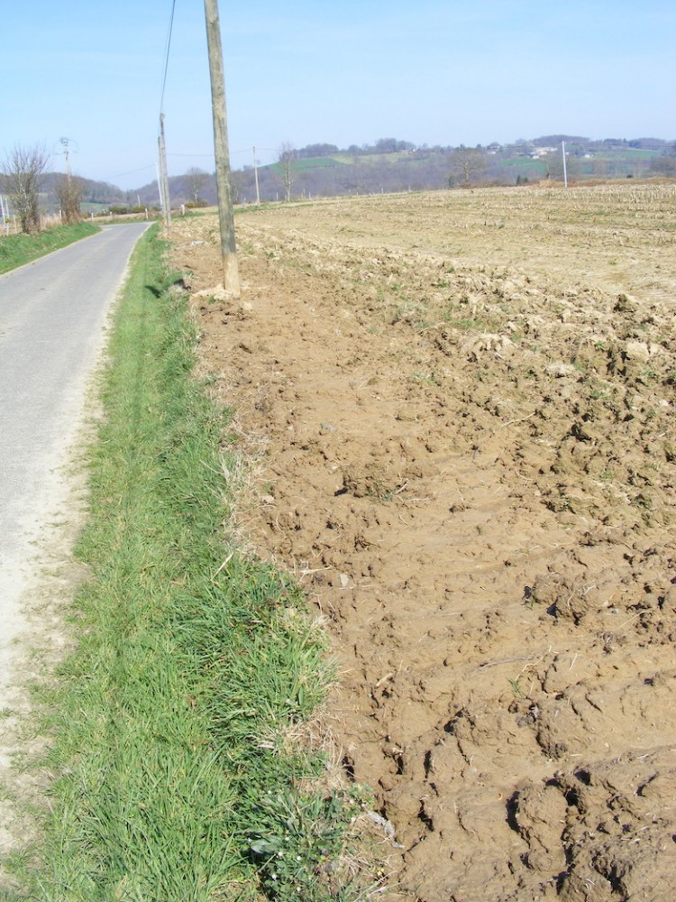 Labour irrespectueux de la berme.<br />Mars 2009, Tirepied/50