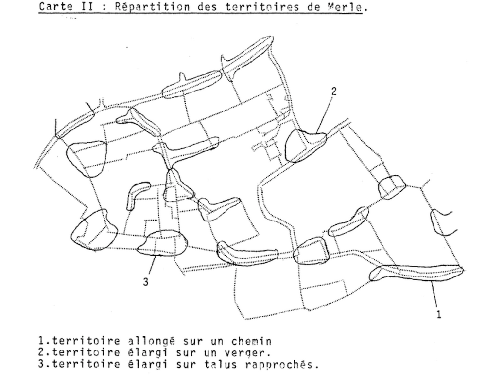 cantonnement merle Barenton.png (385.62 Kio) Vu 7365 fois Collette j. (1973)- Dénombrement de passereaux nicheurs dans le Bocage Normand; I; Etude avant remembrement. Le Cormoran, 2(9) : 77-91