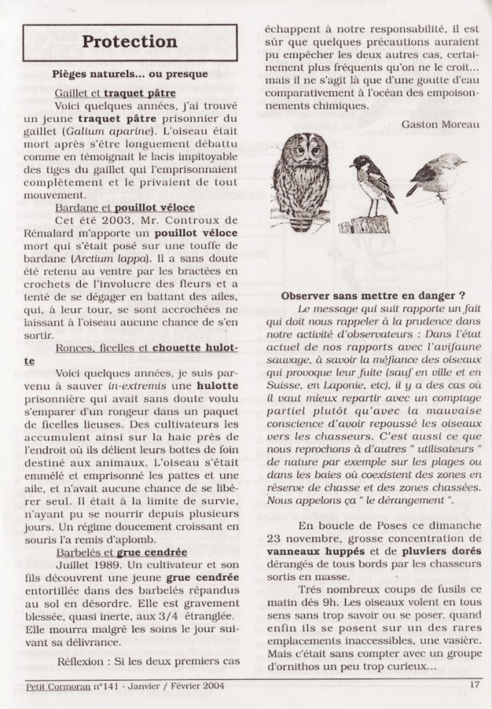 Observations G. Moreau.jpeg (373.6 Kio) Vu 7276 fois G. Moreau (2004)- Pièges naturels... ou presque. Le Petit Cormoran. n°141. Janvier-février 2004. p 17.