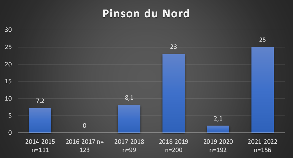 Constance du Pinson du Nord