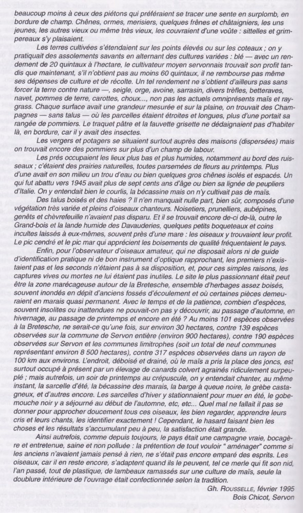 suite page 116