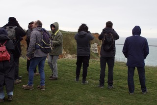 Observation du cormoran huppé sur les falaises de la réserve (Photo G. Debout).jpeg