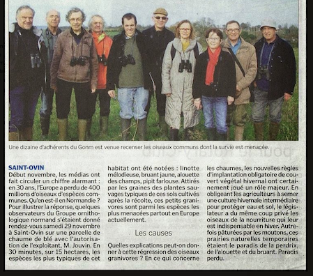 article relatant le comptage "éclair" des oiseaux stationnant sur une belle parcelle de chaumes à Saint-Ovin/50
