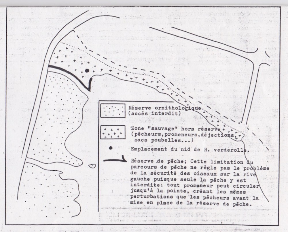 Plan extrait du bilan : la limite rive gauche de la réserve n'est pas cohérente : l'accès y est autorisé, fragilisant la tranquillité du site. L'abandon du nid de rousserolle verderolle en est sans doute une conséquence.