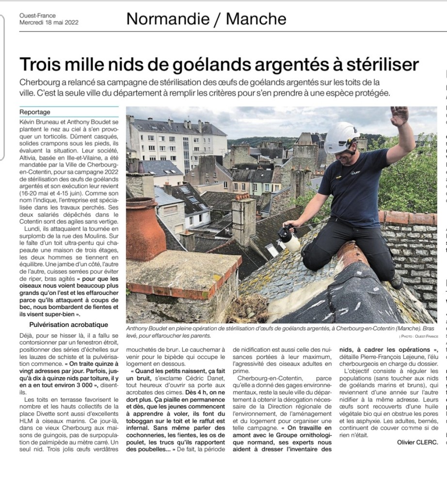 Goélands_Cherbourg_20220518-175140_Ouest-France.jpg (504.57 Kio) Vu 4032 fois Ouest-France_Cherbourg_2022_05_18