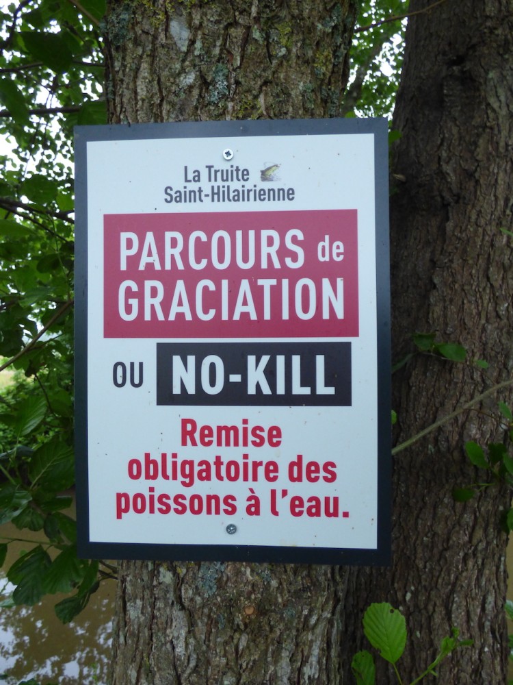 parcours &quot;no kill&quot; en français dans le texte