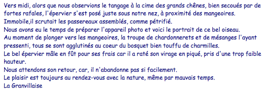 1- Commentaire de l'observateur.png