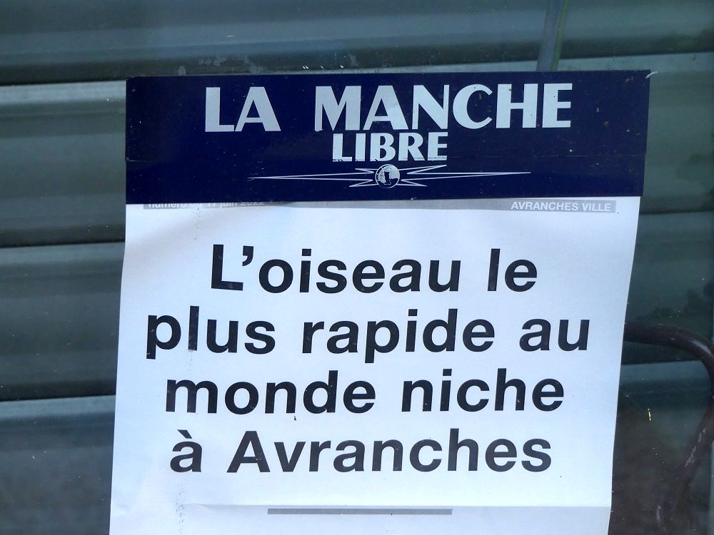 Affichage publicitaire Manche Libre