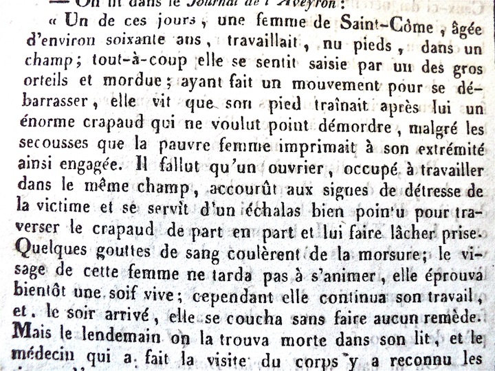 1- la morsure du crapaud.JPG