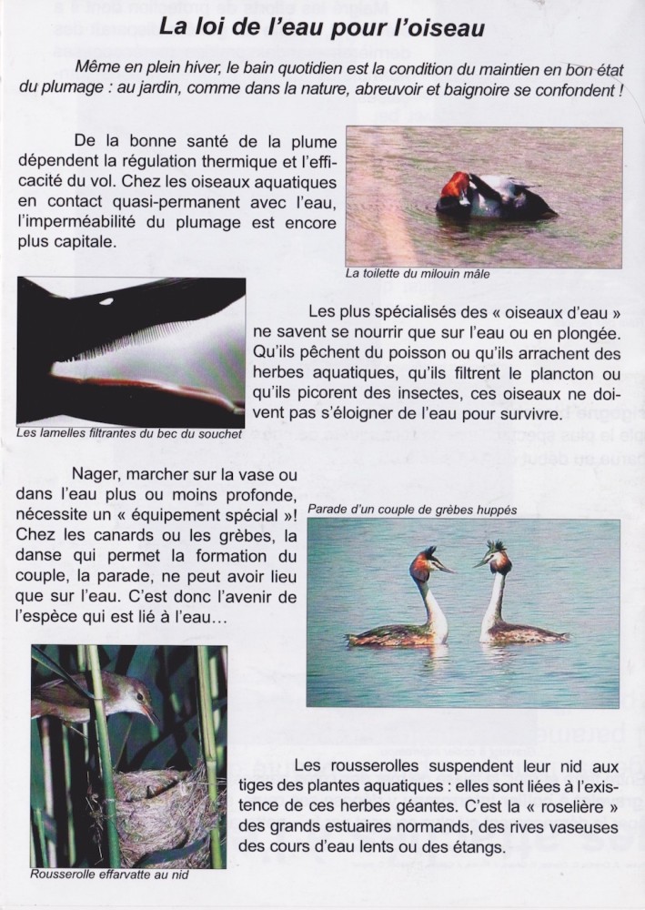 plaquette verso.jpeg (396.03 Kio) Vu 7612 fois Plaquette pliée verso. Quelques exemples du lien fort qui lie les oiseaux d'eau à leur habitat.