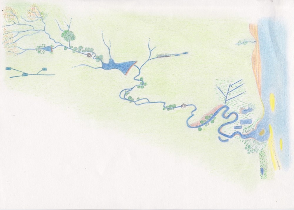 Dessin synthétique zones humides.jpeg (363.79 Kio) Vu 7612 fois "fond de carte"