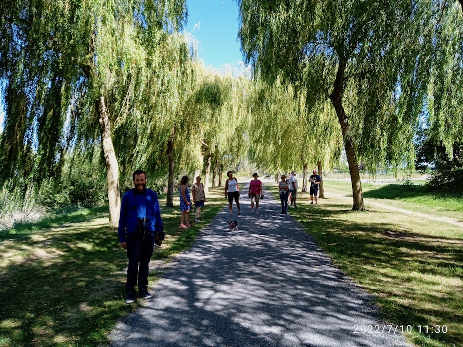 Déambulation à l'ombre des arbres