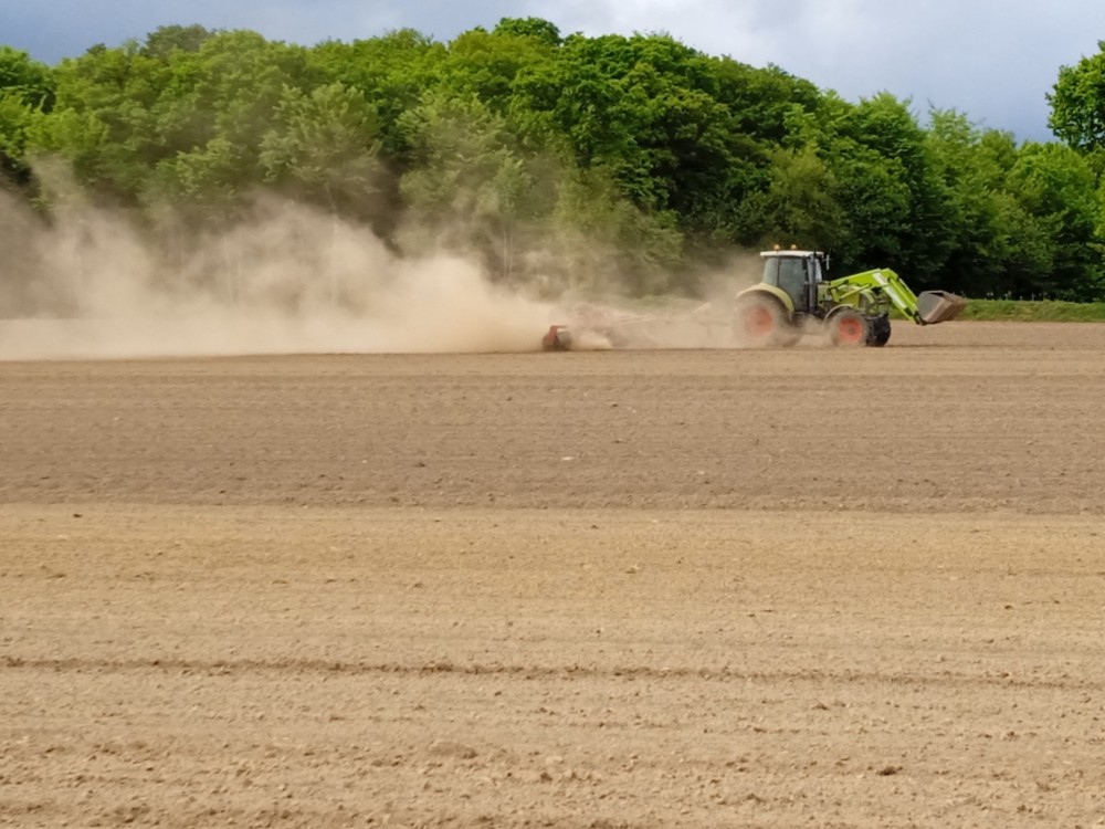 vent de sable en bocage?