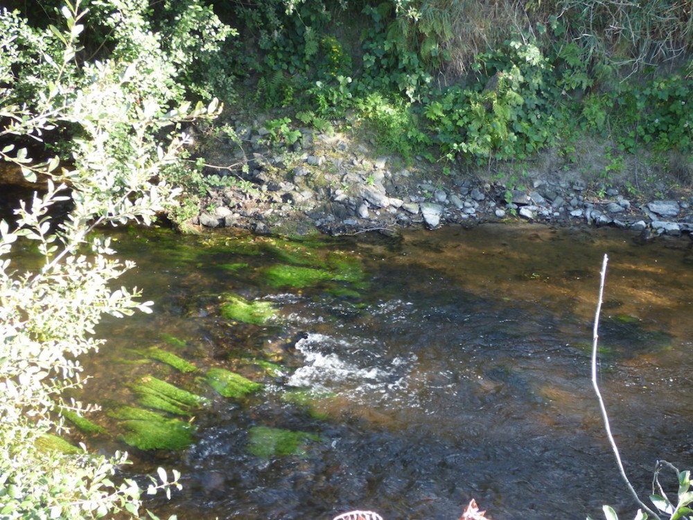 radier quasiment à sec sur la Sée; réchauffement néfaste pour les frayères des salmonidés...