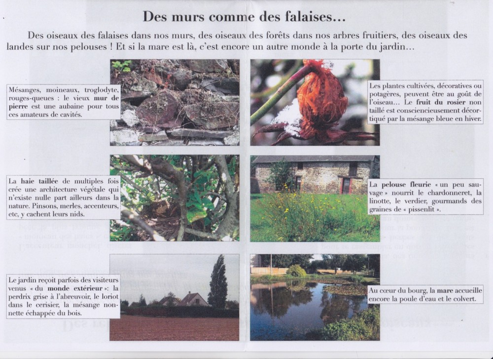 C.jpeg (451.24 Kio) Vu 11220 fois pli intérieur