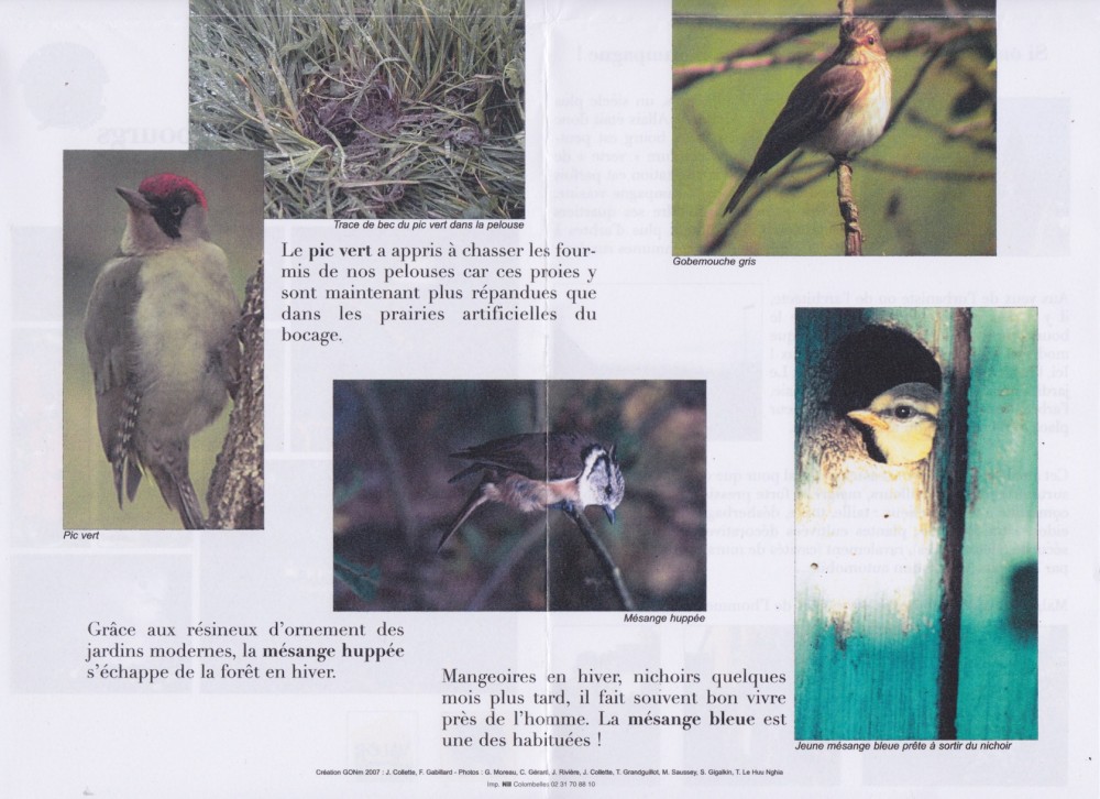 E.jpeg (508.13 Kio) Vu 11218 fois verso déplié partie basse.<br />Création GONm 2007: J. Collette, F. Gabillard - Photos : G. Moreau, J. Rivière, J. Collette, T. Grandguillot, M. Saussey, S. Gigalkin, T. Le Huu Nghia.