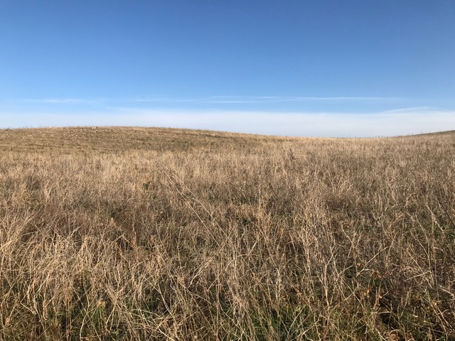 Photo G. Debout février 2023