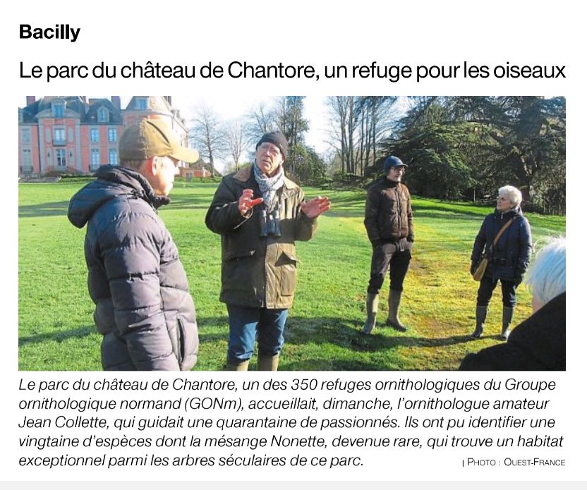 Ouest France 2023_02_18<br />La mésange nonnette a deux ailes et deux n.