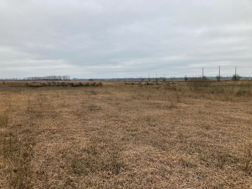 IMG_1305.jpeg (471.99 Kio) Vu 6805 fois Regroupement des balles de foin pourries