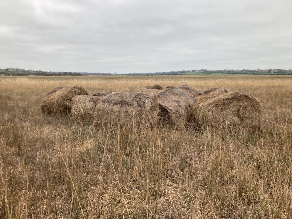 IMG_1307.jpeg (431.12 Kio) Vu 6805 fois Vue de l'état des balles de foin