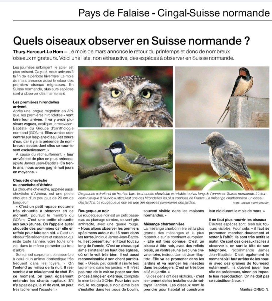 Oiseaux_14_Falaise_20230311.jpg (371.01 Kio) Vu 2131 fois Ouest-France_ Falaise_Suisse_Normande_2023_03_11