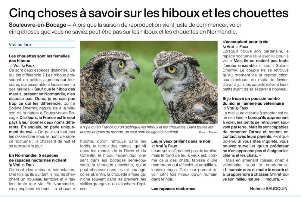 Rapaces_14_OF_20230313.jpg (217.03 Kio) Vu 2053 fois Ouest-France Dimanche 2023_03_12